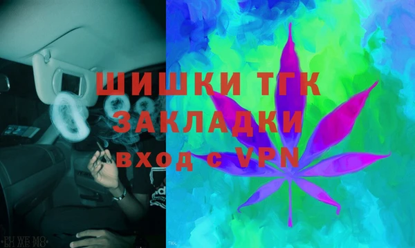 твердый Алзамай