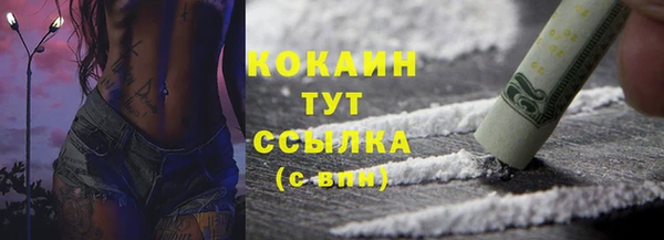твердый Алзамай