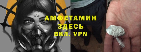 твердый Алзамай