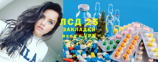 твердый Алзамай