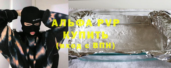 молекула духа Арсеньев