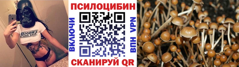 купить закладку  Сибай  Галлюциногенные грибы мицелий 