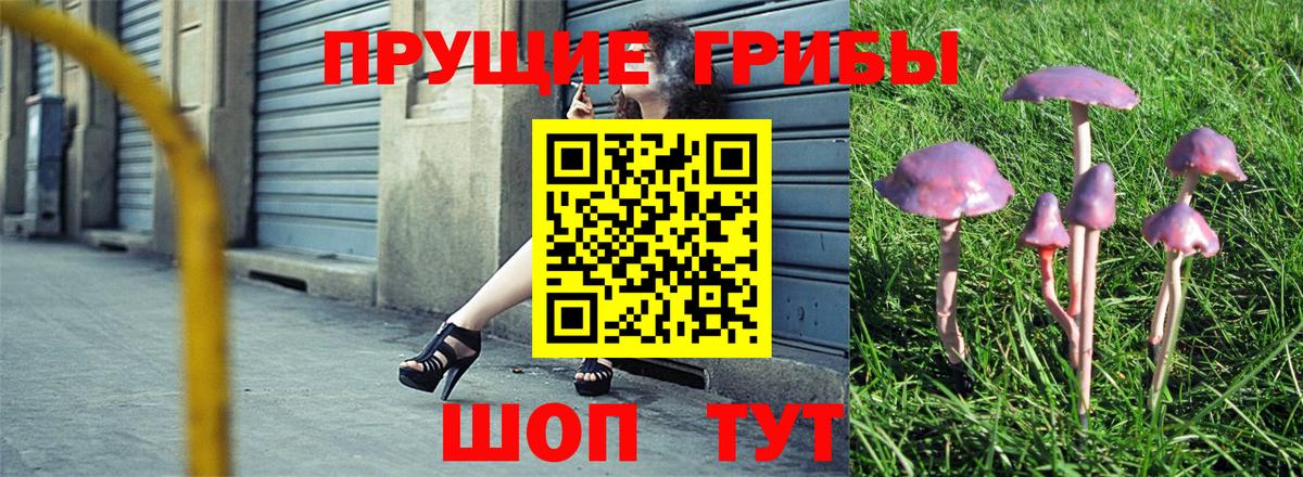 наркошоп  Вход с VPN  Сибай  Галлюциногенные грибы мухоморы  Псилоцибиновые грибы мухоморы 