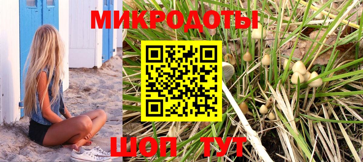Галлюциногенные грибы Cubensis Сибай